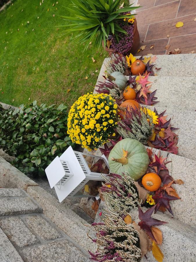 Posada Rural La Flor Las Navas del Marqués Eksteriør billede