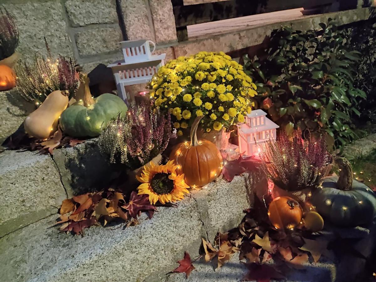 Posada Rural La Flor Las Navas del Marqués Eksteriør billede